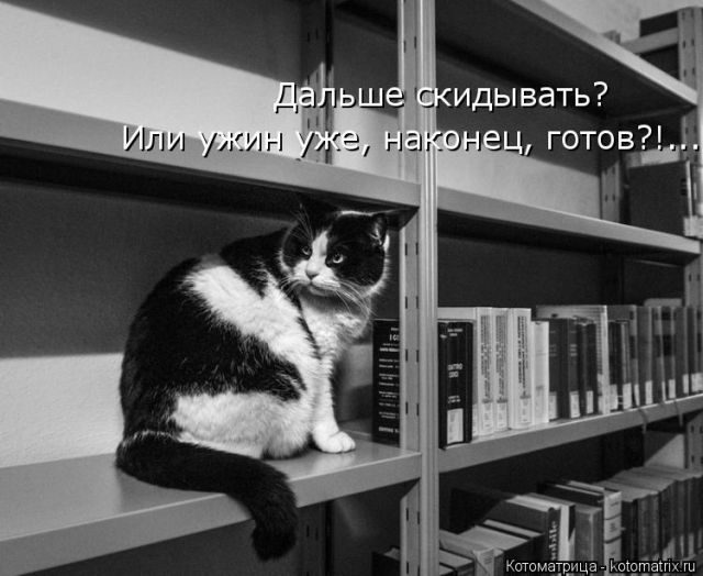 Самые свежие котоматрицы )) Самые свежие котоматрицы ))