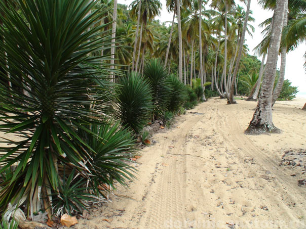 доминикана пляжи