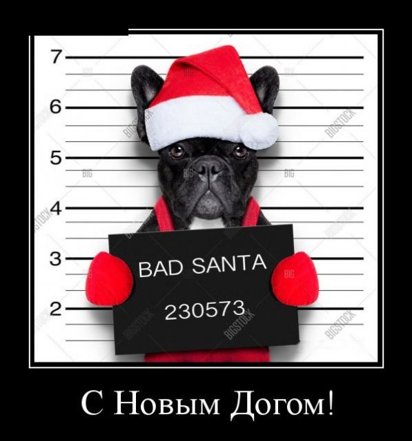 Вот это позитивчик!!! Заходи развеяться! Вот это позитивчик!!! Заходи развеяться!
