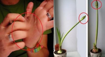 Приметы на деньги: 10 событий, которые всегда сулят прибыль Приметы на деньги: 10 событий, которые всегда сулят прибыль