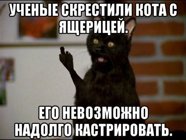 Очередная порция картинок с подписями Очередная порция картинок с подписями