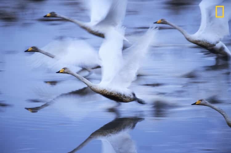 National Geographic Travel Photographer of the Year 