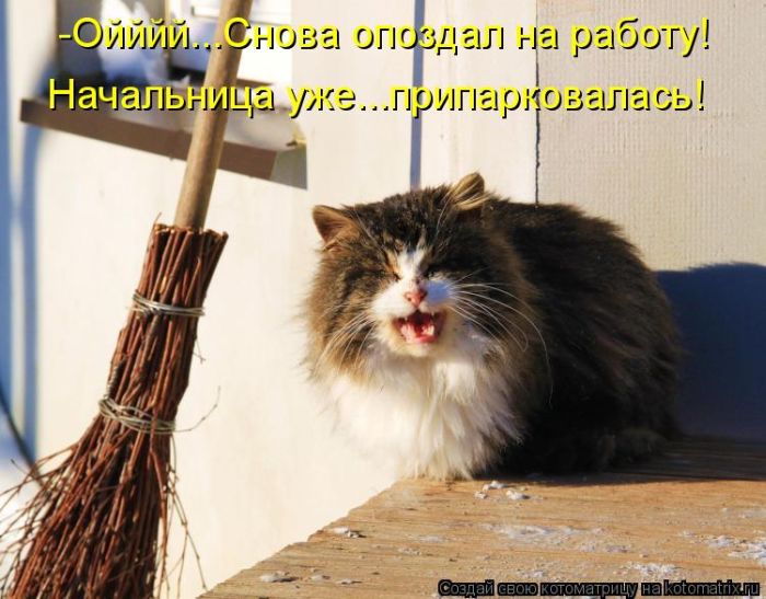 ����������� (49 ����)