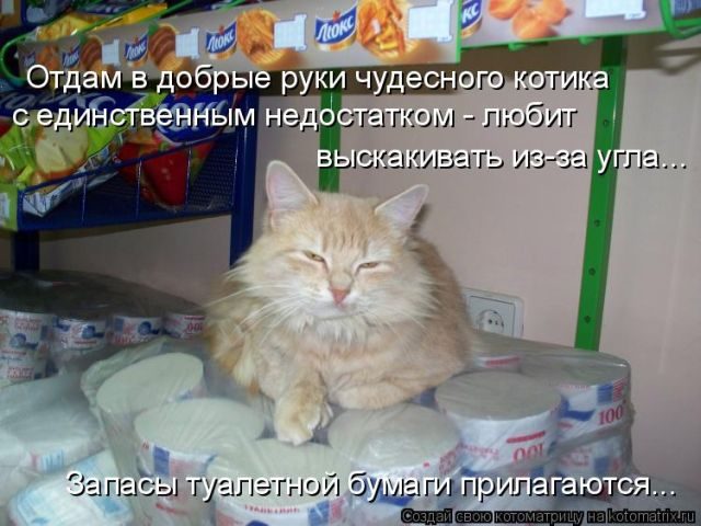 Самые свежие котоматрицы )) Самые свежие котоматрицы ))