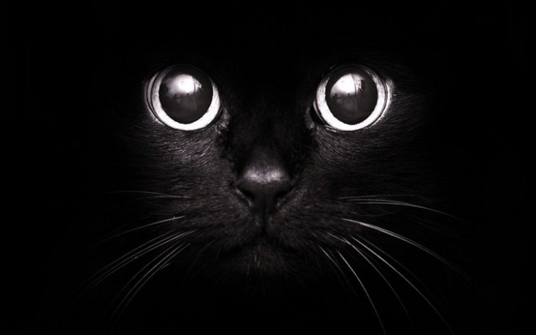 7 самых странных примет, в которые мы верим