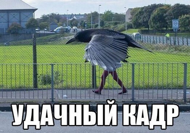 У одинокого оптимиста кровать наполовину полная) У одинокого оптимиста кровать наполовину полная)