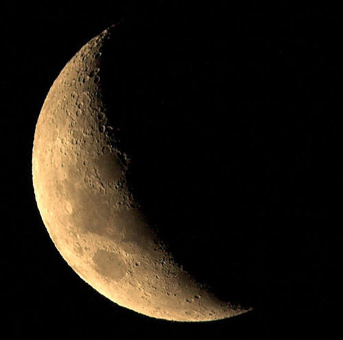 4 �������� (500x496, 59Kb)