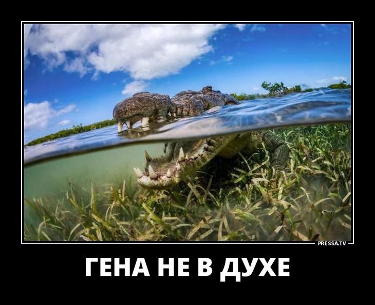 Да лучше б я за чёрта замуж вышла... Да лучше б я за чёрта замуж вышла...