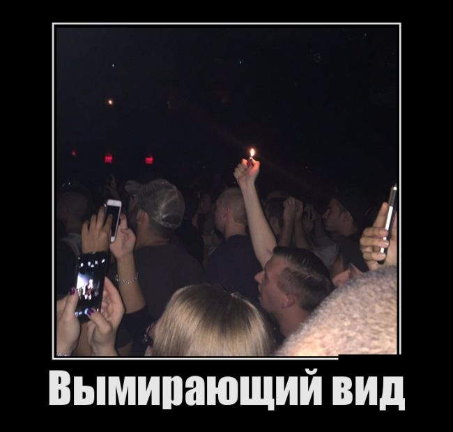 Свежие демотиваторы для хорошего настроения (12 фото) Свежие демотиваторы для хорошего настроения (12 фото)