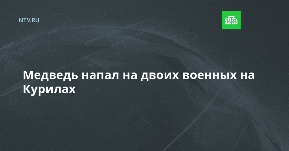 Медведь напал на двоих военных на Курилах