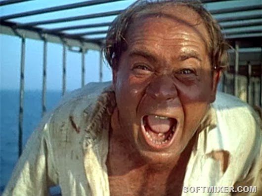 Полосатый рейс, фильм