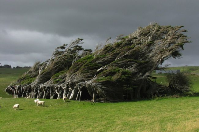 фотошоп, фотография, природа, мир