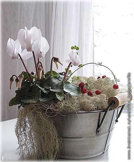 Картинка 68 из 28949