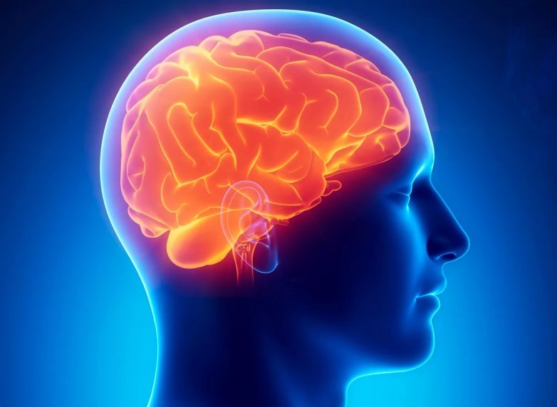 Причины сужения сосудов головного мозга