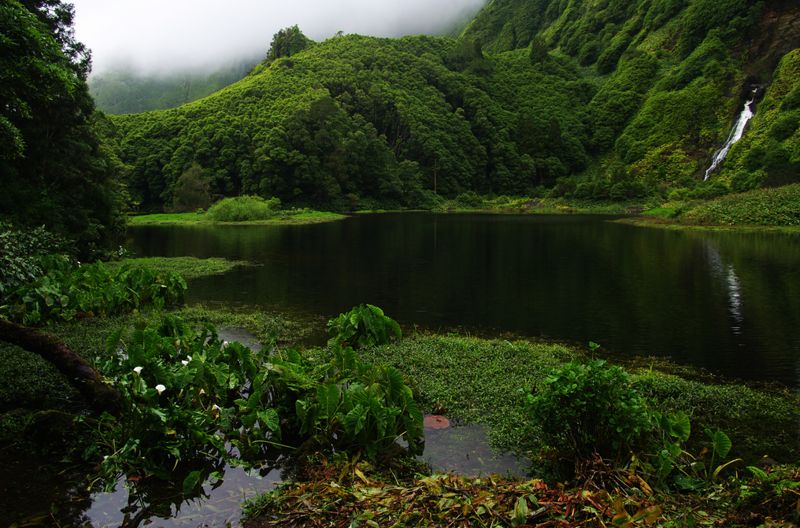 Азорские острова - места нетронутой природы