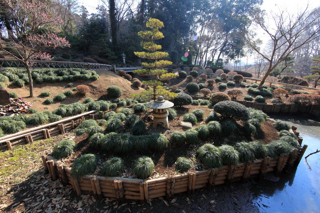 �������� ��� ��� ������ ������������ ������ �������