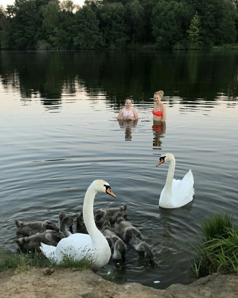 Для позитива на душе жизнь, фото, эмоции