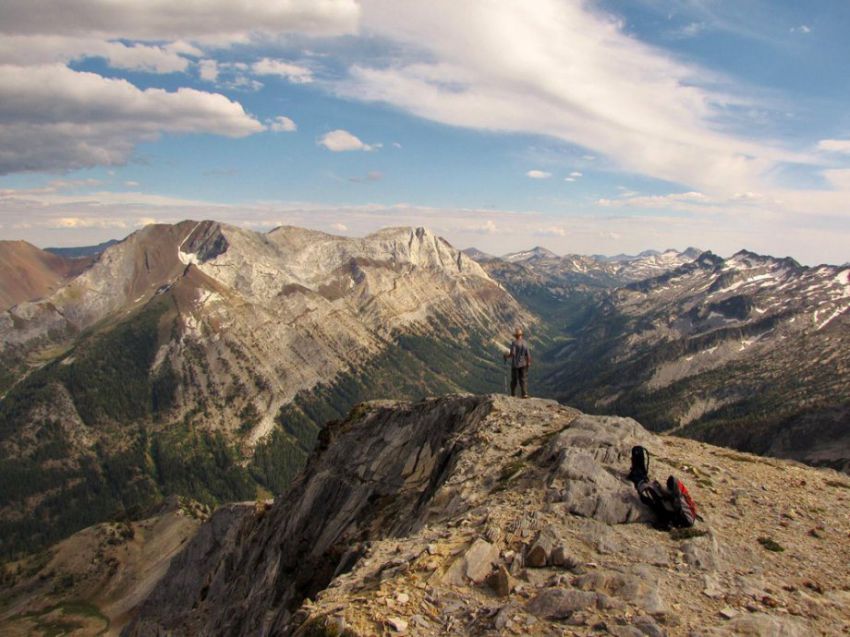 природа, позитив, фото