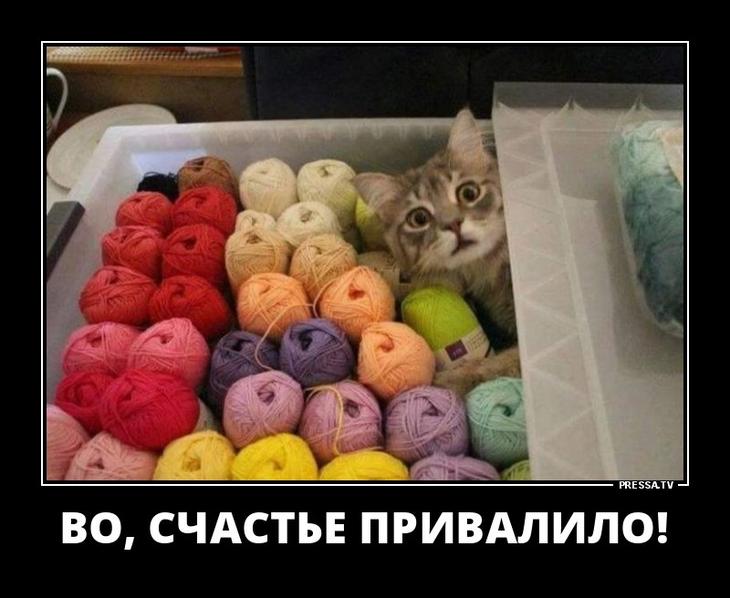 Да лучше б я за чёрта замуж вышла... Да лучше б я за чёрта замуж вышла...
