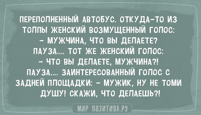 АНЕКДОТЫ + АНЕКДОТЫ +