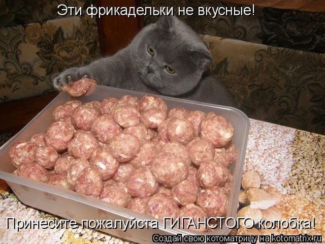 Смешные котоматрицы для хорошего настроения)