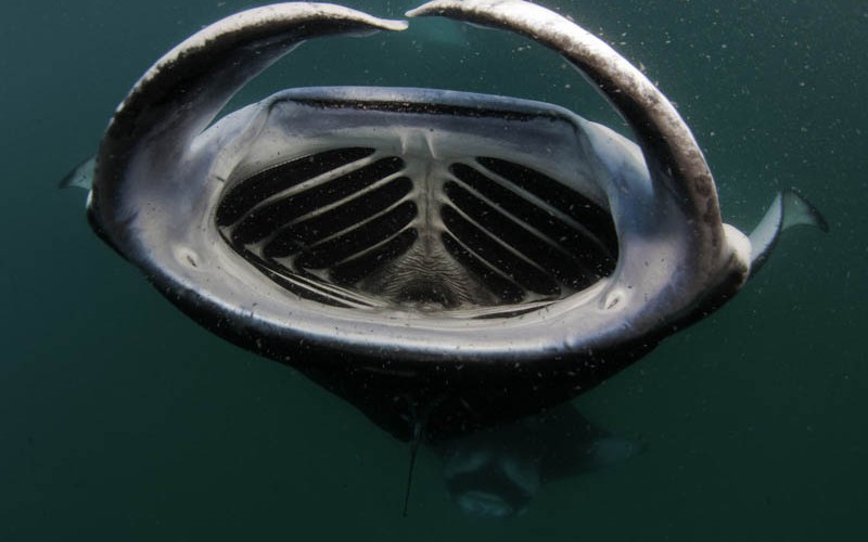 best13 Лучшие фотографии месяца по версии журнала Twistedsifter