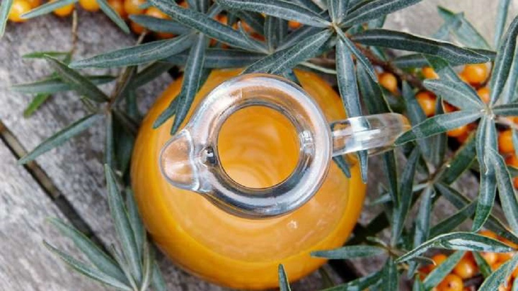 Диетолог назвала неожиданные полезные свойства облепихи