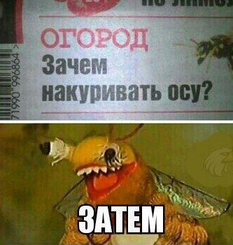 Вот это позитивчик!!! Заходи развеяться! Вот это позитивчик!!! Заходи развеяться!