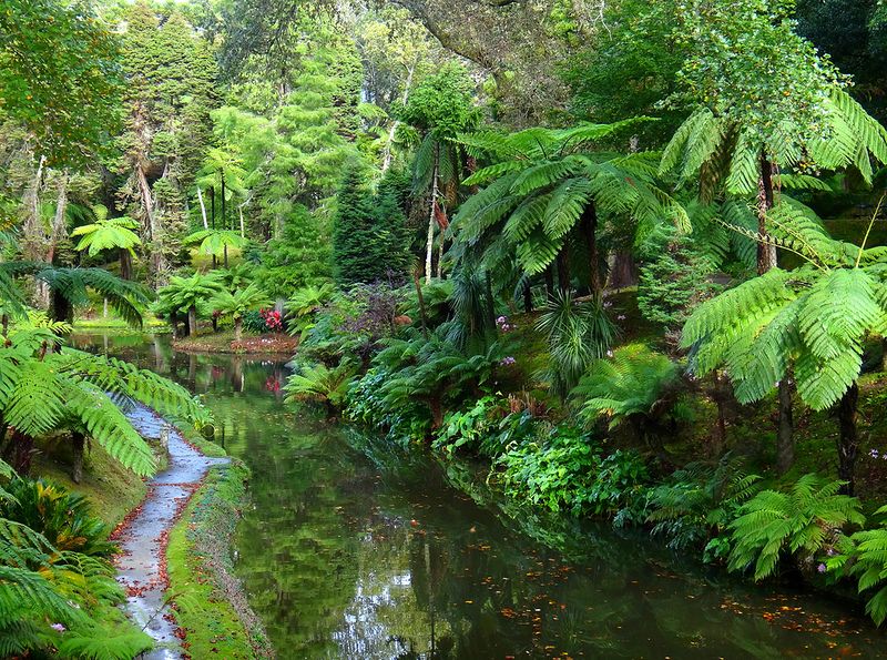 Азорские острова - места нетронутой природы