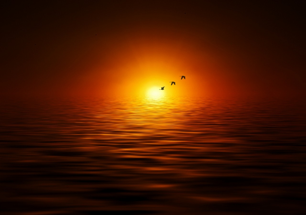  Desireless  Josep Sumalla  500px