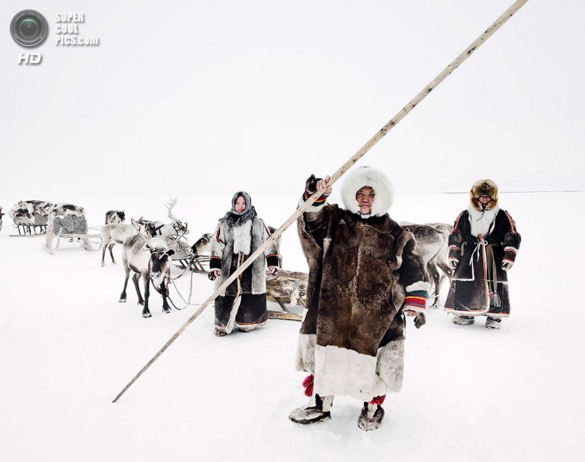 холод, племя, люди