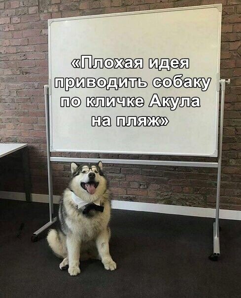 Прикольные картинки абавсём:D Прикольные картинки абавсём:D