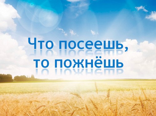 «Что посеешь, то пожнёшь»