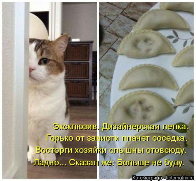 Котоматрицы для подзарядки позитивом))) Котоматрицы для подзарядки позитивом)))