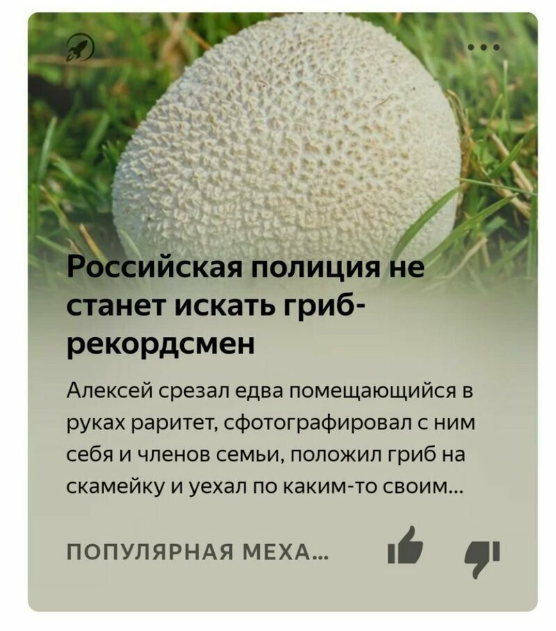 Яндекс.Дзен фигни не посоветует Яндекс.Дзен фигни не посоветует
(18 фото)