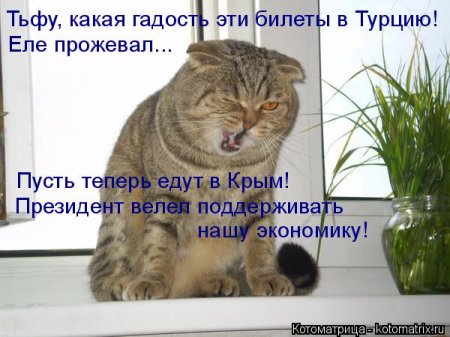котомашечки от Лисицы))