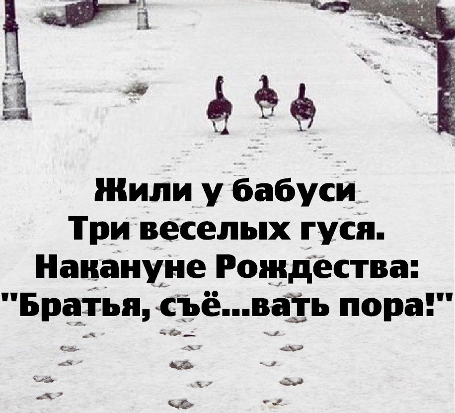Послe слов - ну ты же леди... Анекдоты 8 января 2019 года. Послe слов - ну ты же леди... Анекдоты 8 января 2019 года.