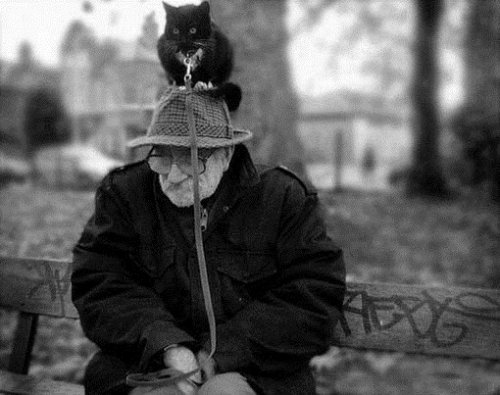 Фотографии, наполненные эмоциями (34 шт) Фотографии, наполненные эмоциями (34 шт)