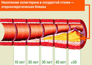 одноклассники, однокурсники, соседи, сослуживцы, мир тесен, земляки, старые друзья, география, блоги домов, события вокруг, социальная сеть, карта, дом, работа, web 2.0