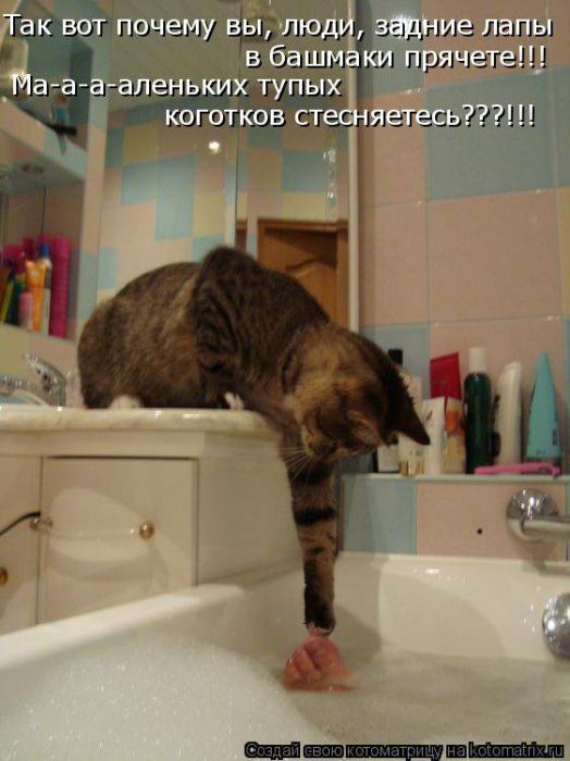 Мысли вслух :)