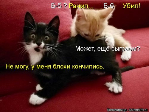 Котоматрицы великолепные, каждая с кусочком тепла, позитива и улыбкой!