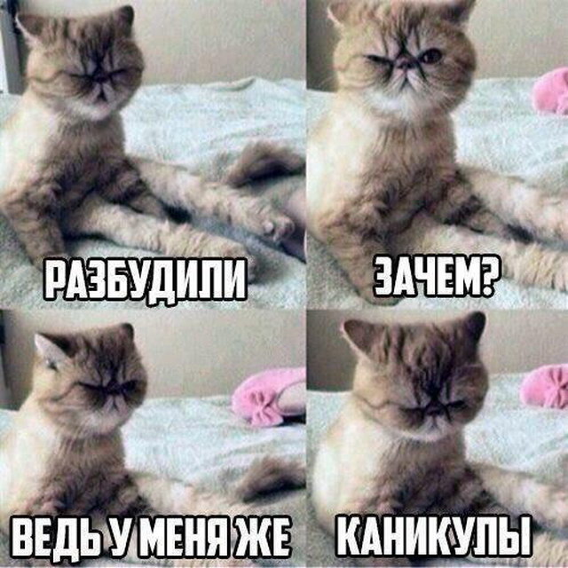 У одинокого оптимиста кровать наполовину полная) У одинокого оптимиста кровать наполовину полная)