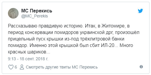 15 «ихтамнетов» улетели на концерт Кобзона: Что пишут небратья о сбитом в Сирии Ил-20