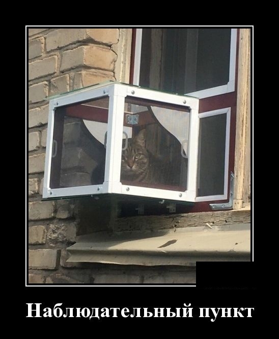 Демотиваторы Демотиваторы
