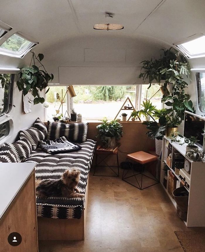 Van Life