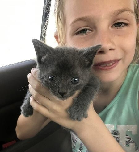 Котёнка бросили в контейнер для нищих, но маленькая девочка спасла его! Котёнка бросили в контейнер для нищих, но маленькая девочка спасла его!