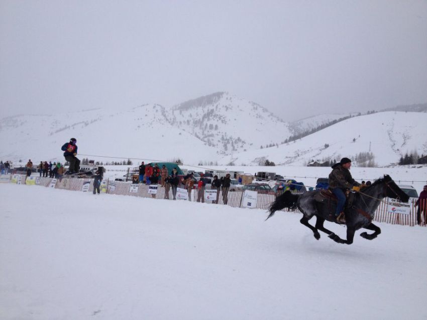 природа, позитив, фото