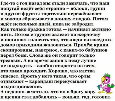 Попали в одну яму волк, медведь и лошадь. Спустя пару деньков начали подпухать с голодухи...