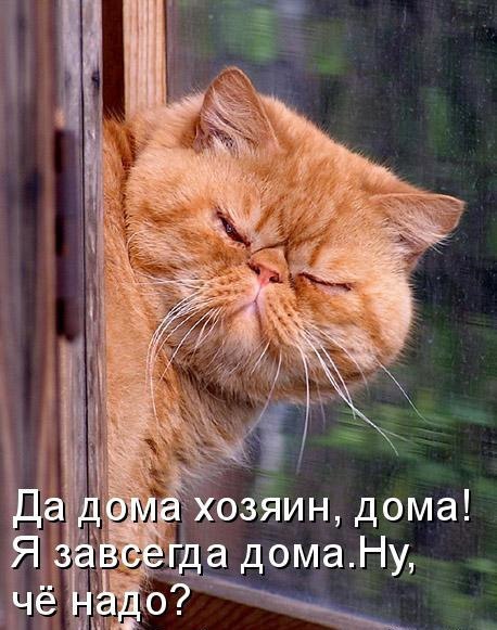Послe слов - ну ты же леди... Анекдоты 8 января 2019 года. Послe слов - ну ты же леди... Анекдоты 8 января 2019 года.