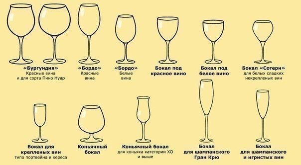 Названия бокалов для вина и их назначение